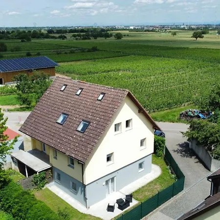 Sur La Route Des Vins * Kintzheim