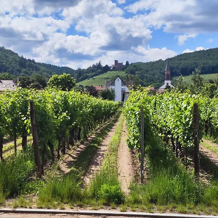 Sur La Route Des Vins * Kintzheim